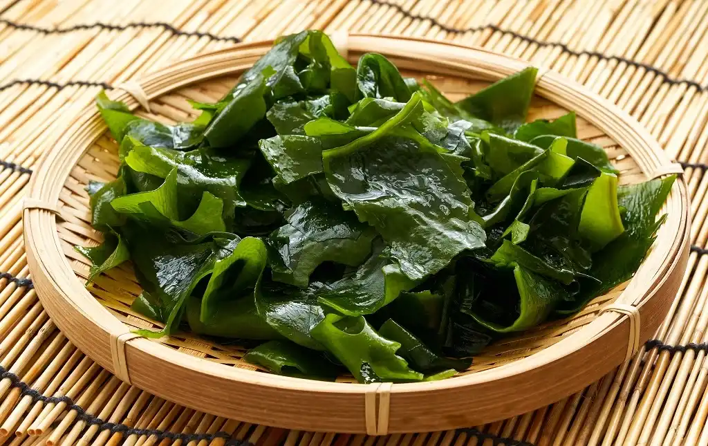 What is Kelp Extract?